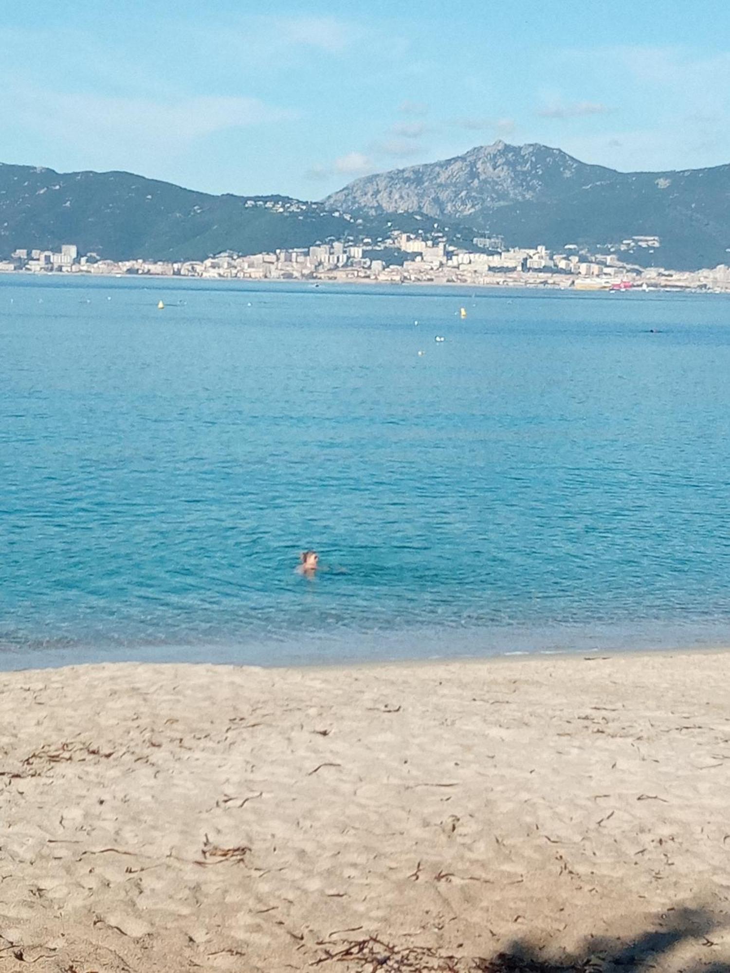 Appart 5 Personnes A Porticcio Avec 2 Piscines Materiel Enfant ,Bebe Clim Экстерьер фото